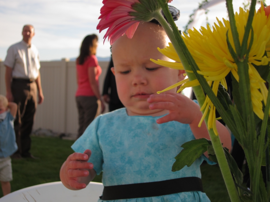 Wedding - Avery Finds Flowers